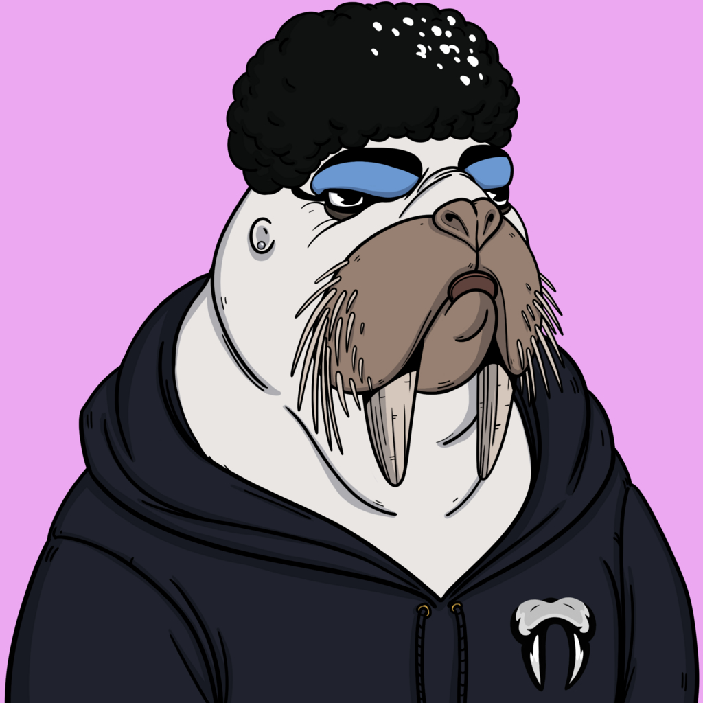 We Are The Walrus #1919