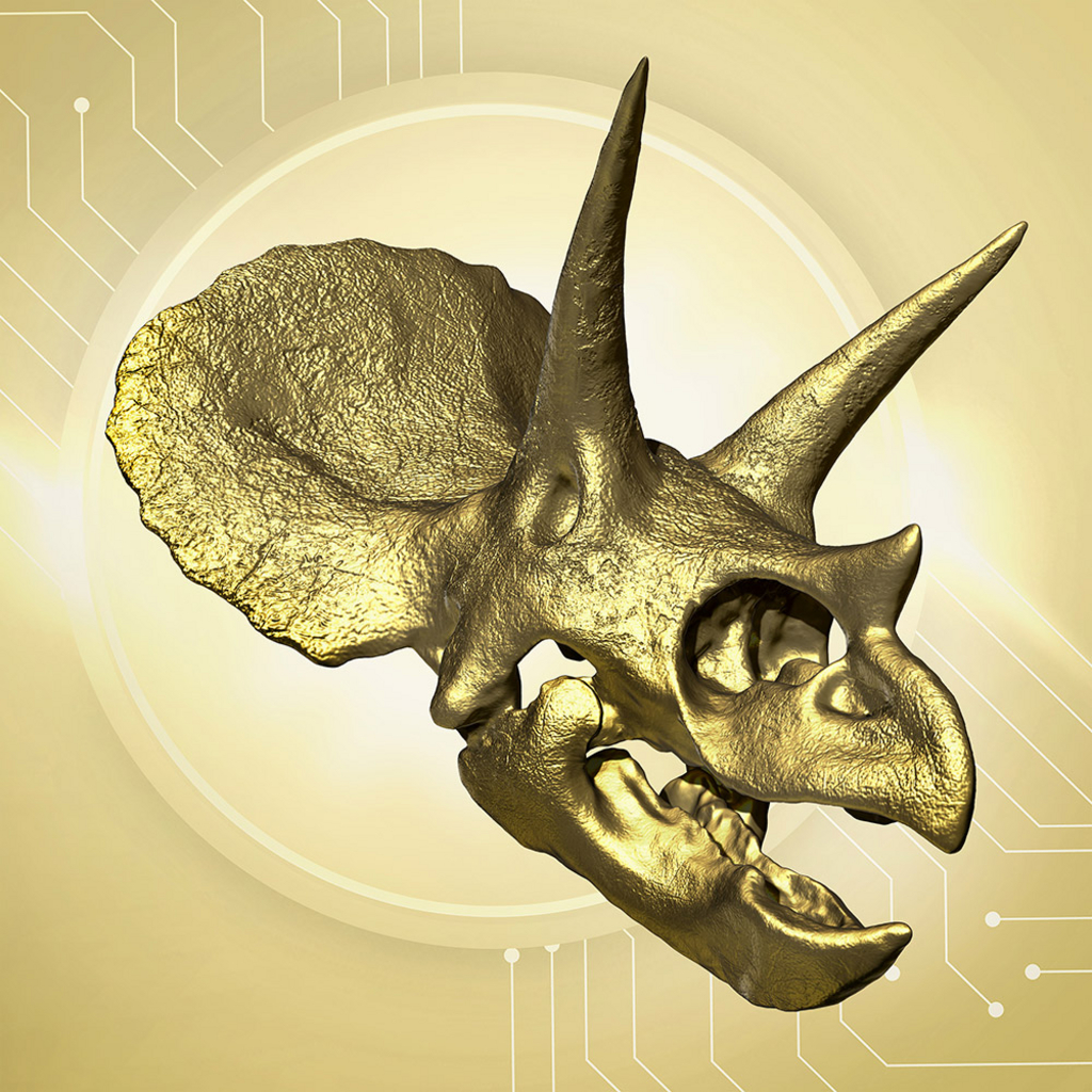 Triceratops-Au Skull