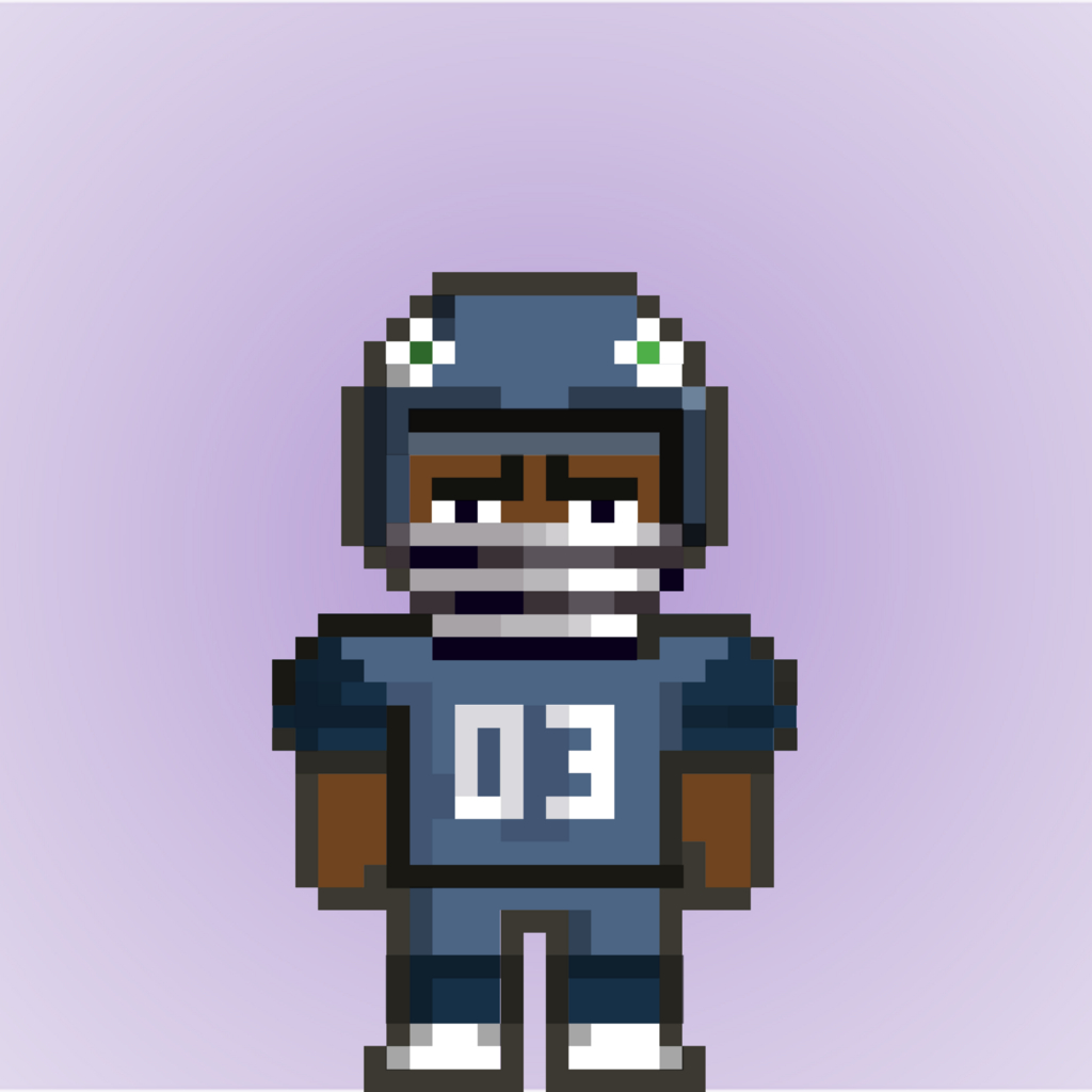 SeattleSeahawks-Home #2