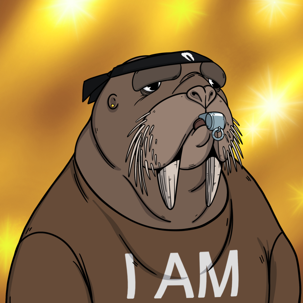 We Are The Walrus #1464